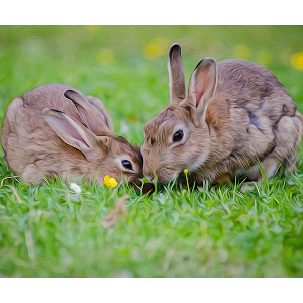 Playing Rabbit - DIY Diamond Painting