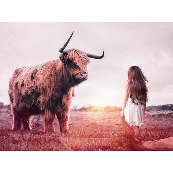 Wild Bison and a Little Girl - DIY Diamond Painting