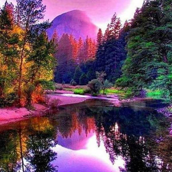 Wild Forest - DIY Diamond Painting