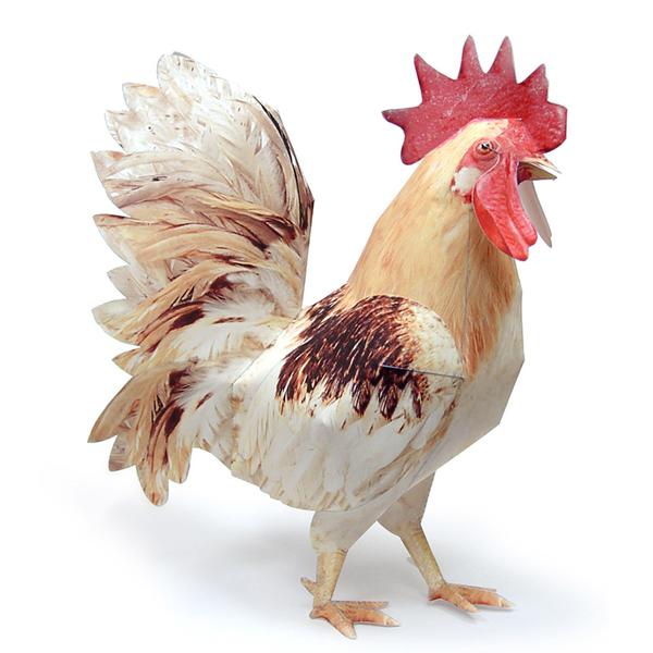 Chicken Cock DIY 3D Origami