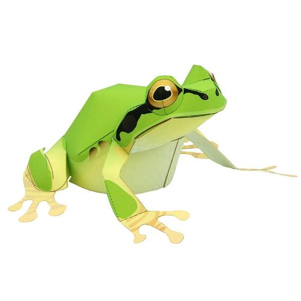 Green Tree Frog DIY 3D Origami