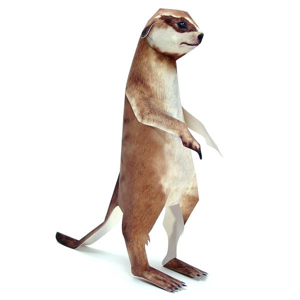 Meerkat Suricate DIY 3D Origami