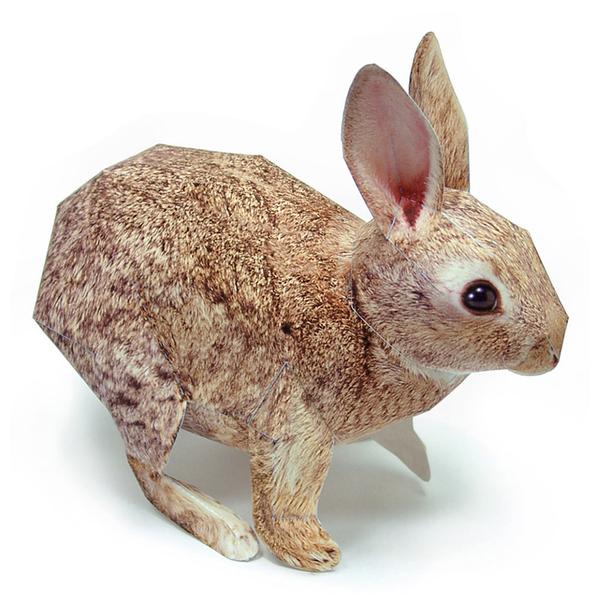 Cottontail Rabbit DIY 3D Origami