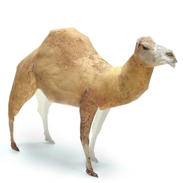 Arabian Camel DIY 3D Origami