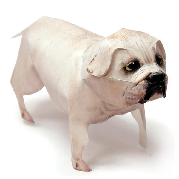 Bulldog DIY 3D Origami
