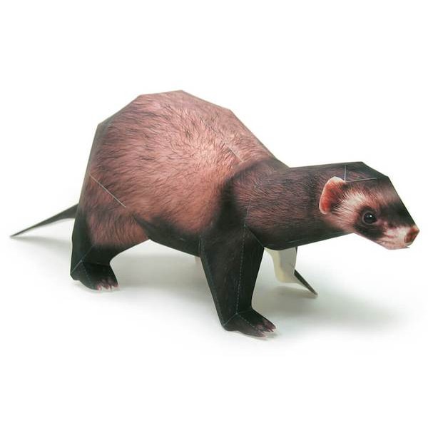 Brown Ferret DIY 3D Origami