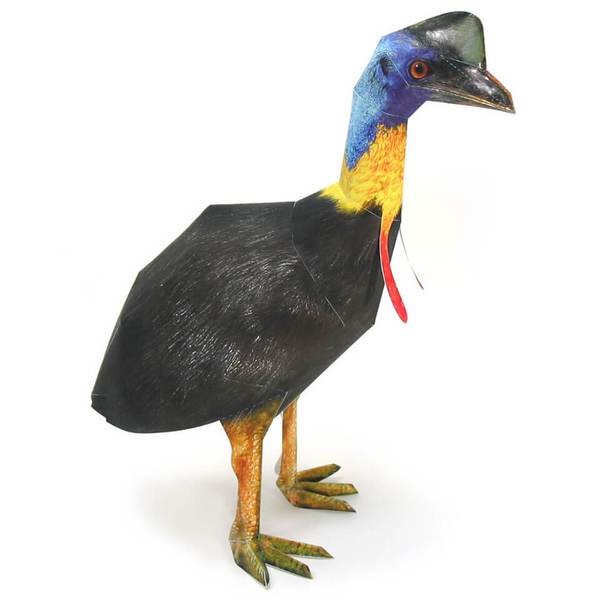 Southern Cassowary DIY 3D Origami