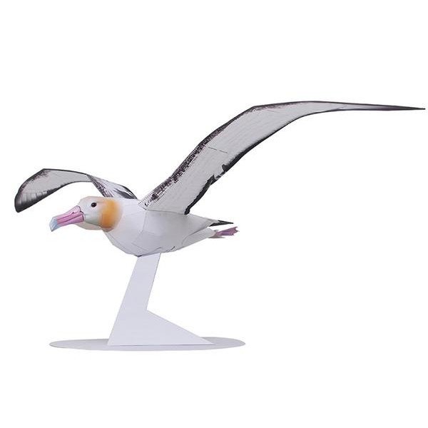 Albatross Bird DIY 3D Origami
