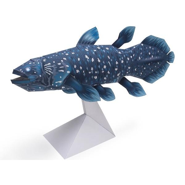 Coelacanth Fish DIY 3D Origami