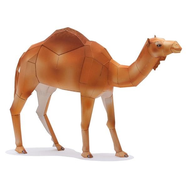 Camel DIY 3D Origami