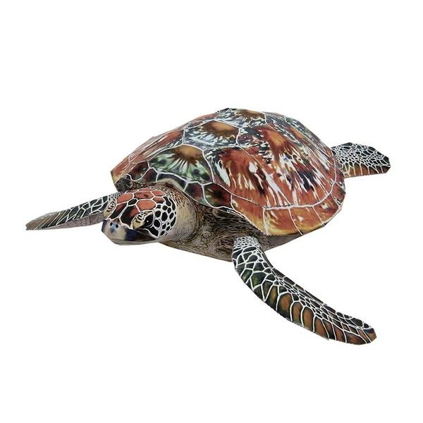 Green Sea Turtle DIY 3D Origami