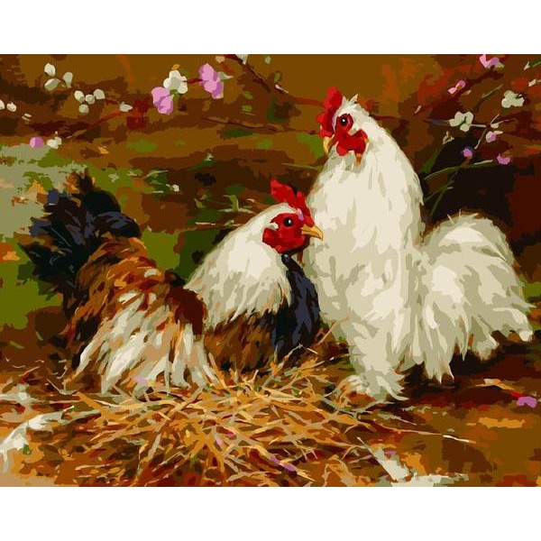 Rooster and Hen - DIY Painting By Numbers
