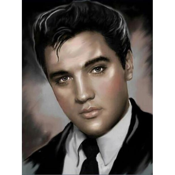 Elvis Presley #1 - DIY Painting By Numbers