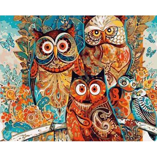 Owl Pack - DIY Painting By Numbers