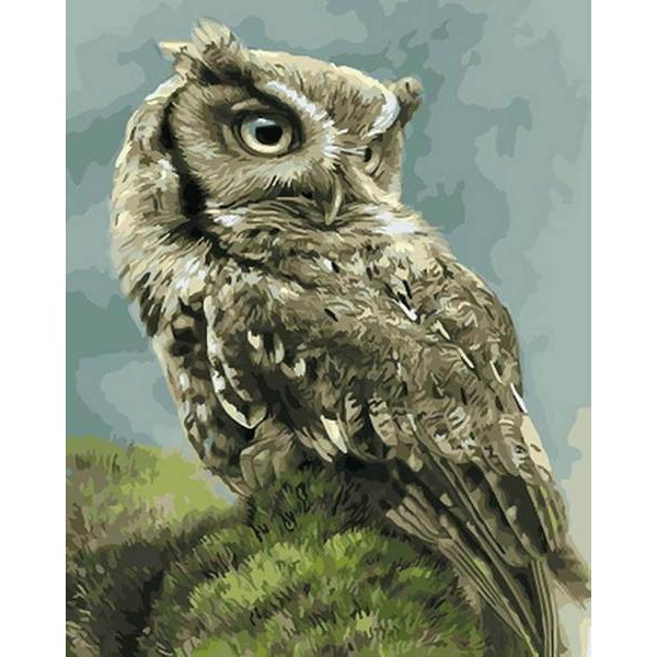 Great Owl - DIY Painting By Numbers