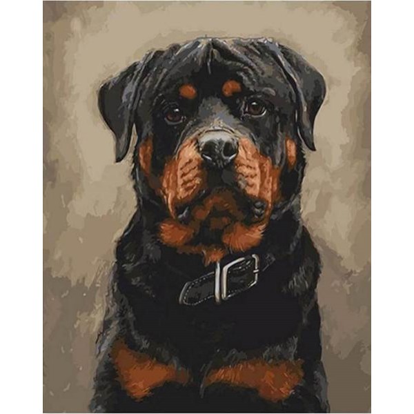 Great Rottie - DIY Painting By Numbers