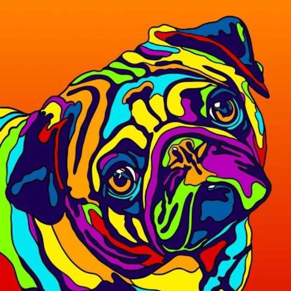 Pug - DIY Painting By Numbers