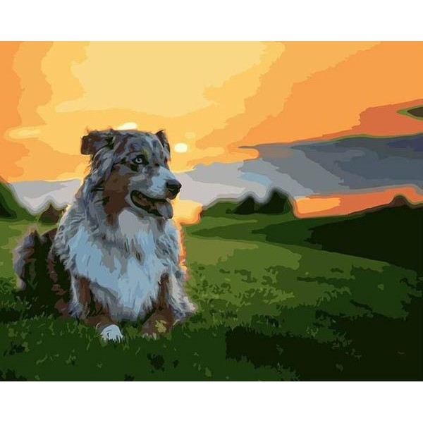 Dog Photography - DIY Painting By Numbers