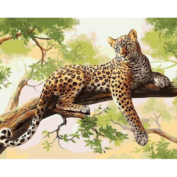 Cheetah - DIY Painting By Numbers