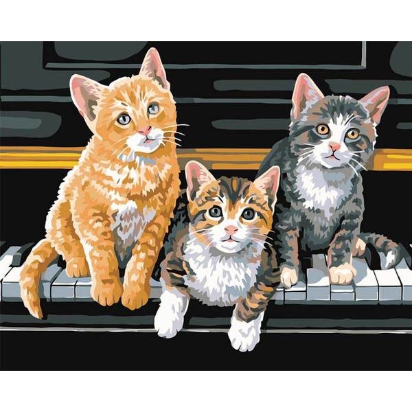 Buddy Cats - DIY Painting By Numbers