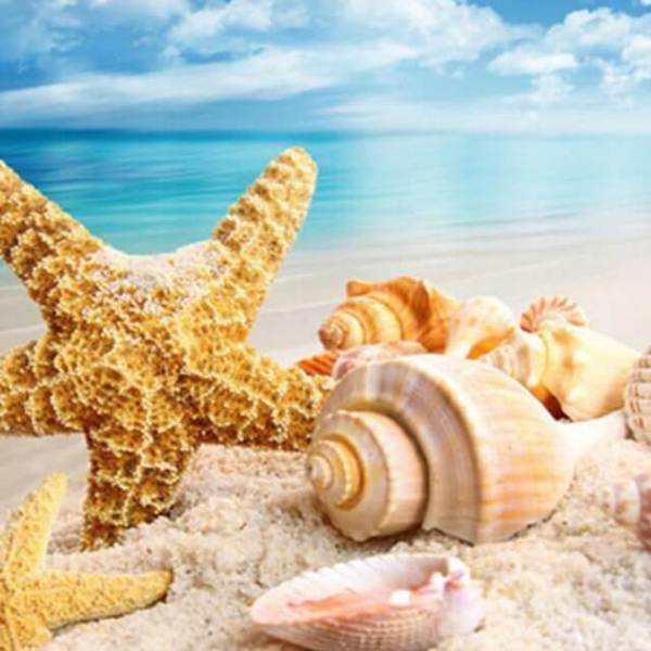 Seashell in the Seashore - DIY Diamond  Painting