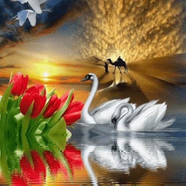 Swan in lake - DIY Diamond Painting