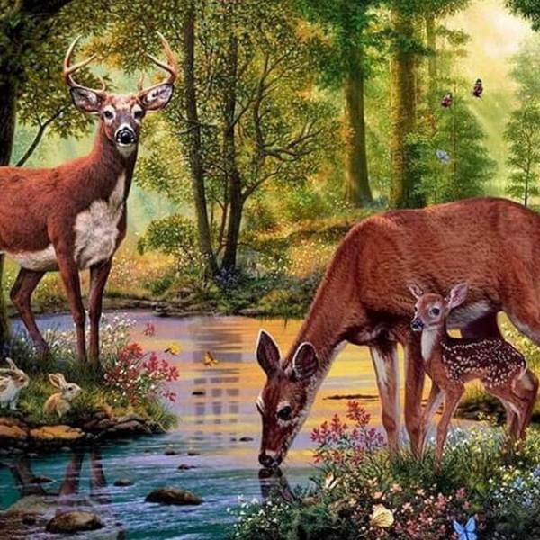 Deer in the Forest - DIY Diamond  Painting