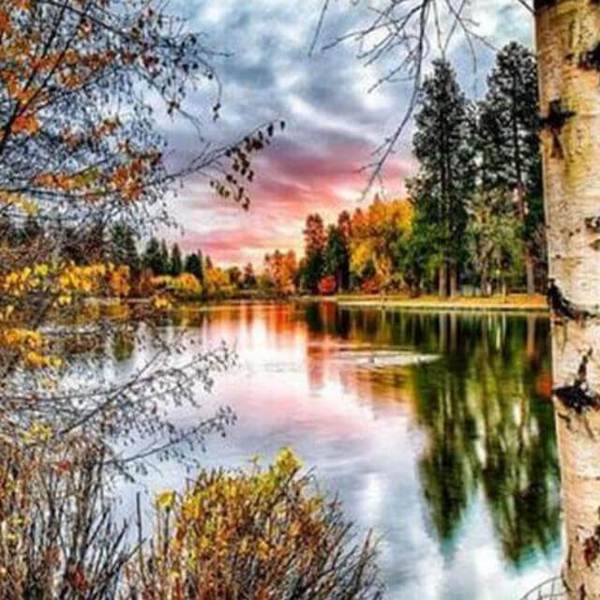 Forest Landscape - DIY Diamond Painting