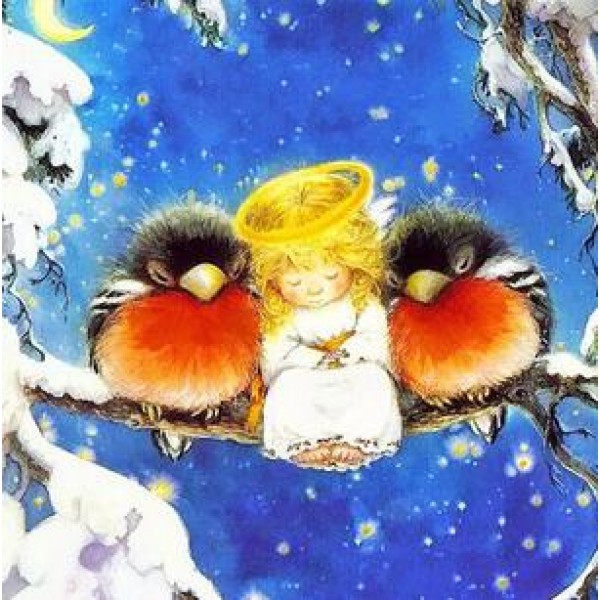 Birds and an Angel Sleeping - DIY Diamond Painting