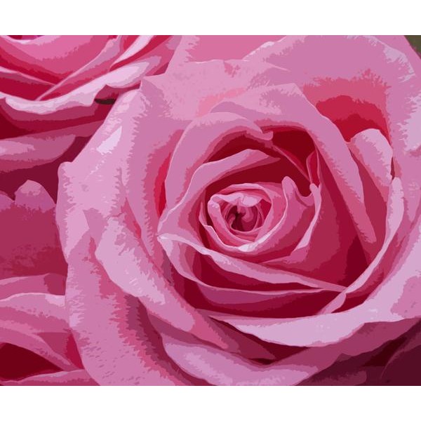 Pink Rose - DIY Diamond Painting