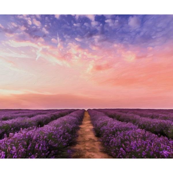Lavender Field - DIY Diamond Painting