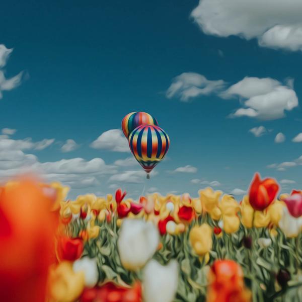 Air Balloon in Tulip Field - DIY Diamond Painting