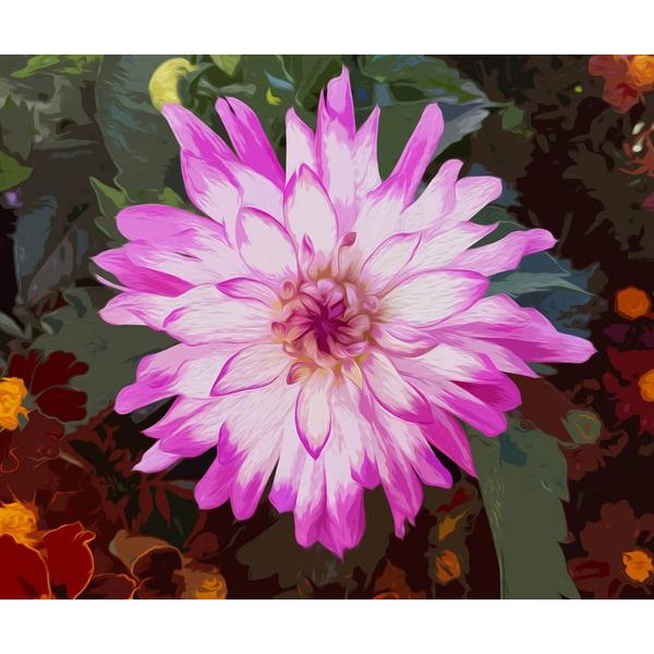 Powder Puff Dahlia - DIY Diamond Painting