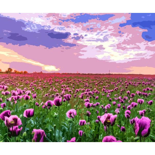 Purple Rose Field - DIY Diamond Painting