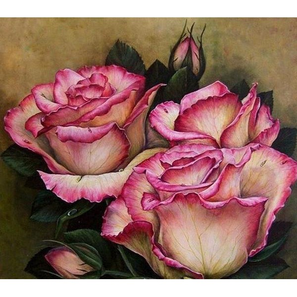 Pink Roses - DIY Diamond Painting