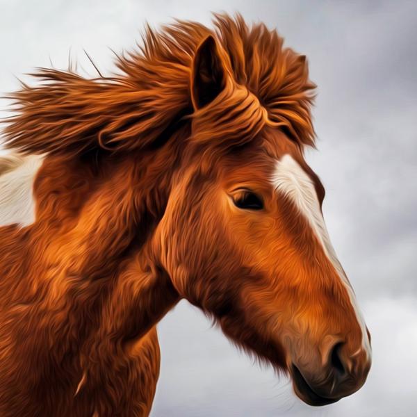 Running Brown Horse - DIY Diamond Painting