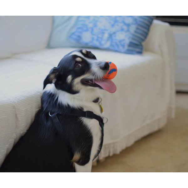 Happy Dog - DIY Diamond Painting