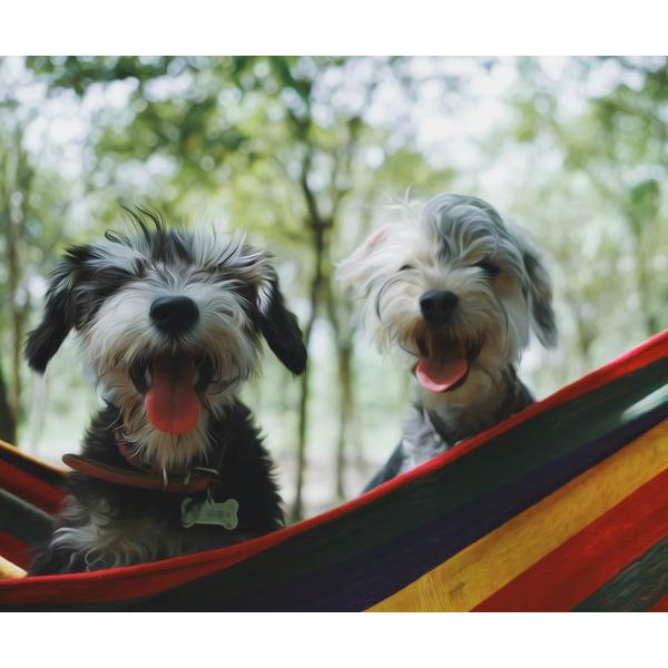 Cute Twin Dog - DIY Diamond Painting