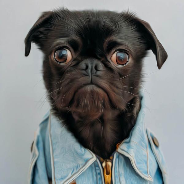 Pug Photography #3 - DIY Diamond Painting