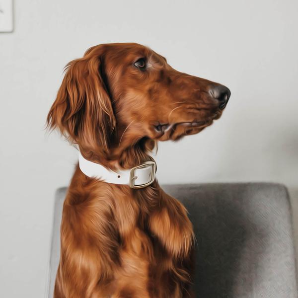 Pretty Shiny Brown Dog - DIY Diamond Painting
