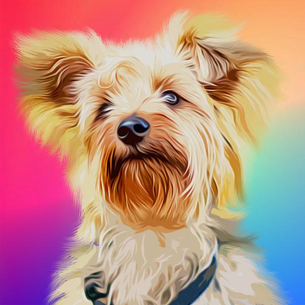 Cute Little Yorkie - DIY Diamond Painting