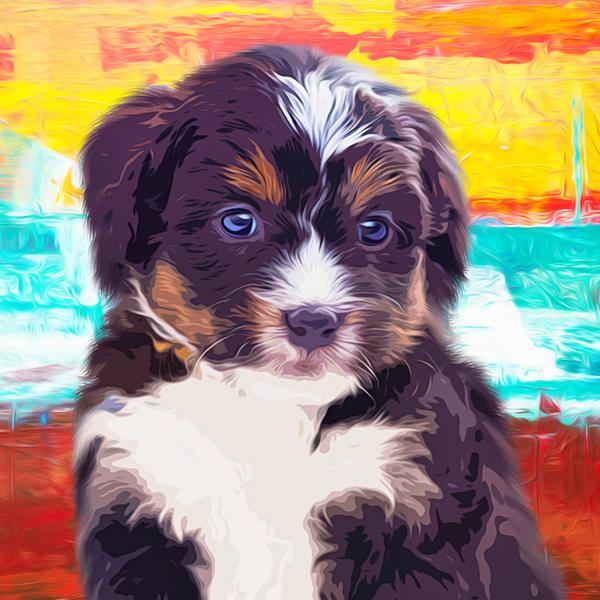 Cute Little Puppy - DIY Diamond Painting