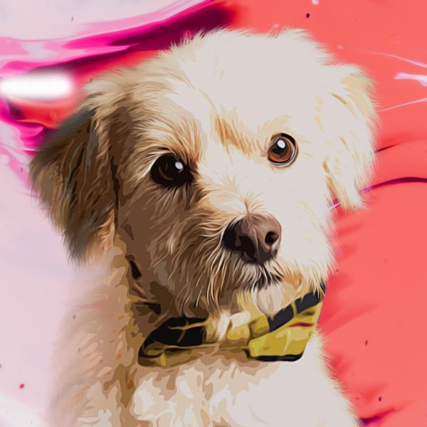 White Puppy - DIY Diamond Painting