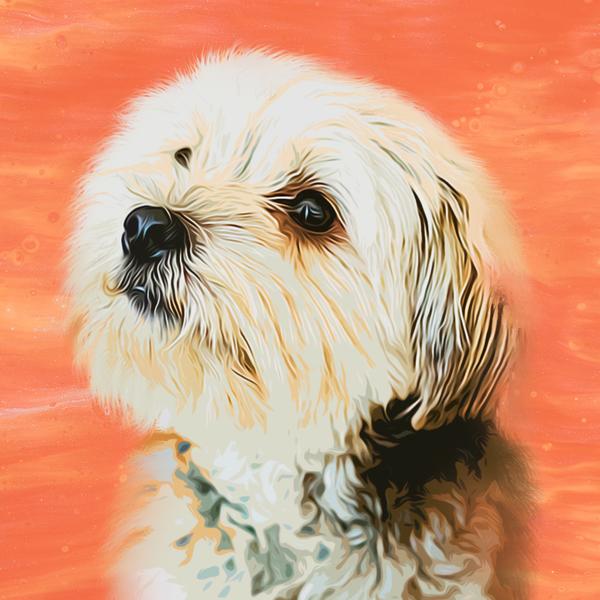 Cute Puppy - DIY Diamond Painting