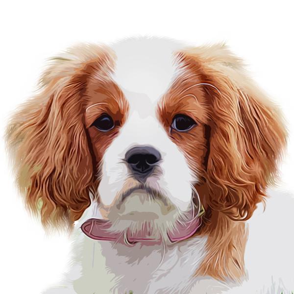 Cute Little Spaniel - DIY Diamond Painting