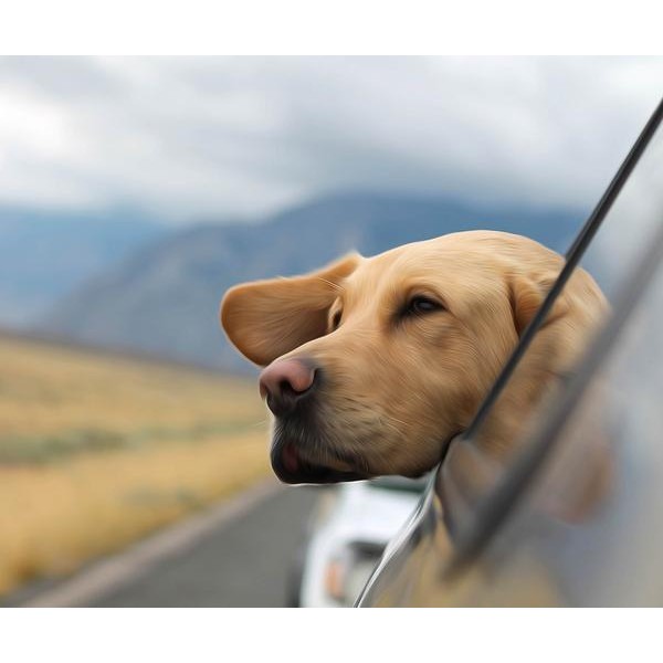 Doggy Loves to Travel - DIY Diamond Painting