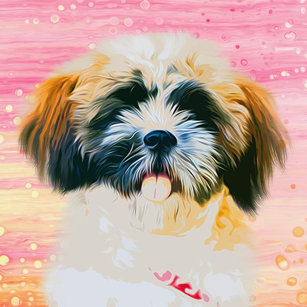 Shih Tzu Puppy - DIY Diamond Painting