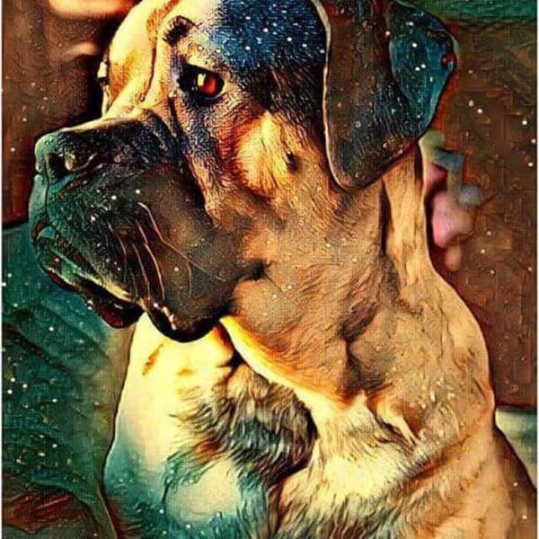 Thinking Dog - DIY Diamond Painting - DIY Diamond Painting