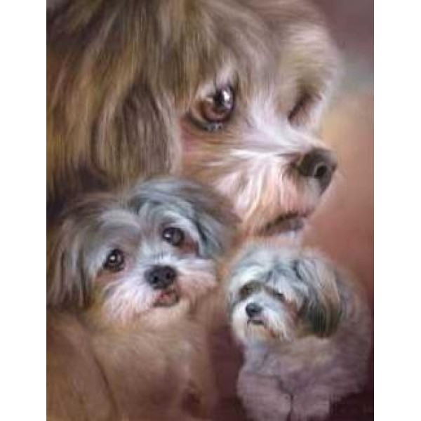 Fluffy Dogs - DIY Diamond  Painting