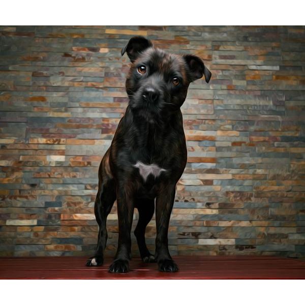 Staffordshire Bull Terrier - DIY Diamond Painting